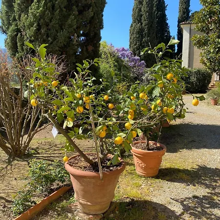 San Giustino *