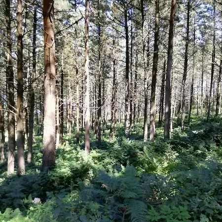 Prázdninový dům San Giustino Cantagrillo