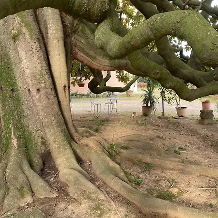 San Giustino *