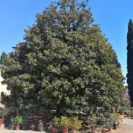 San Giustino *